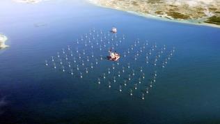 Korean West-South Offshore Wind Farm Development Project